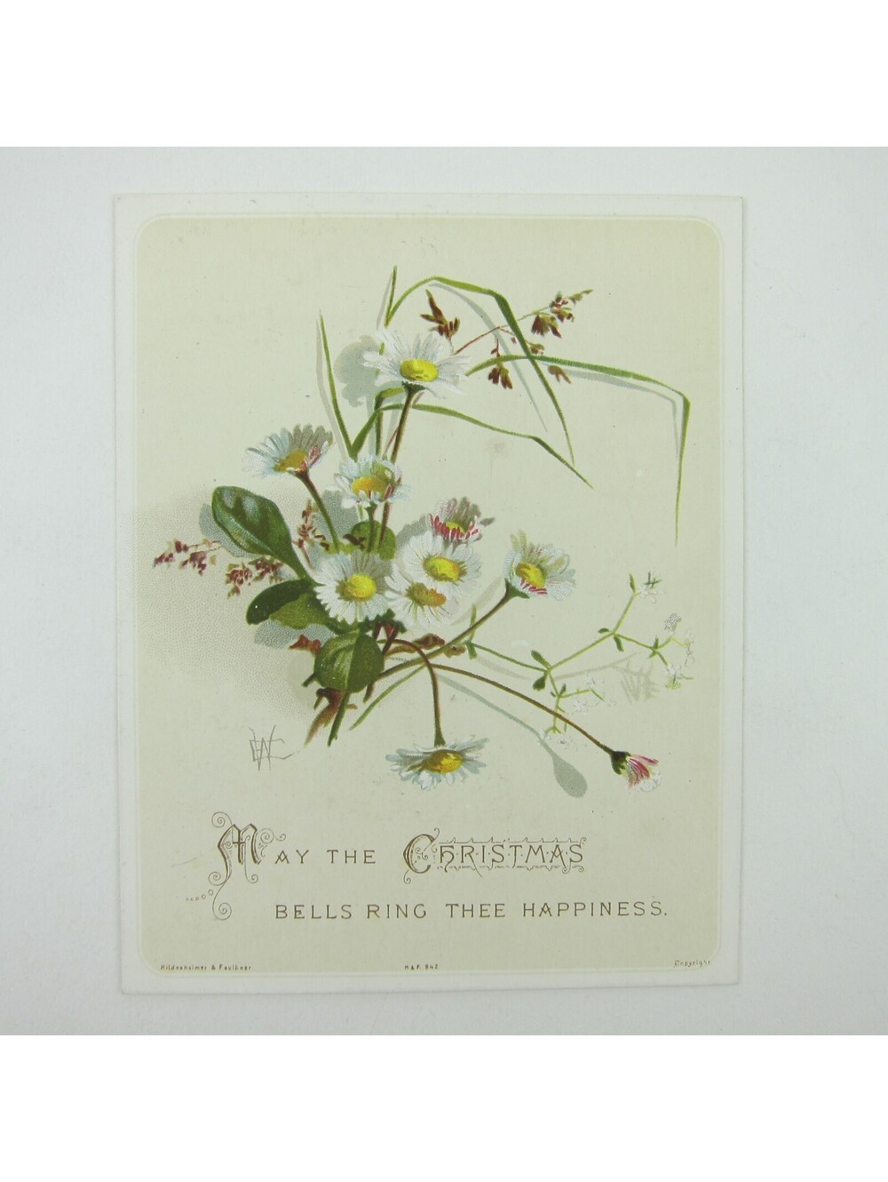 Victorian Christmas Card Hildesheimer & Faulkner White Daisy Flowers Antique